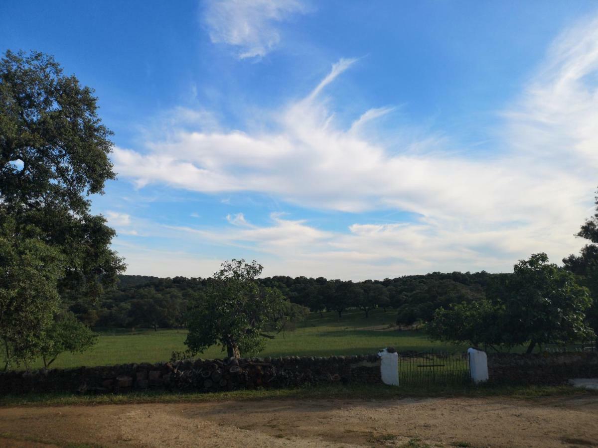Casa Rural La Dehesilla カサジャ・デ・ラ・シエラ エクステリア 写真