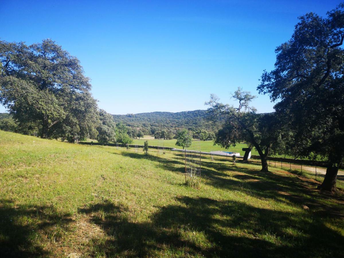 Casa Rural La Dehesilla カサジャ・デ・ラ・シエラ エクステリア 写真