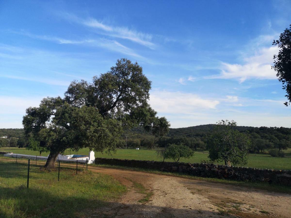 Casa Rural La Dehesilla カサジャ・デ・ラ・シエラ エクステリア 写真