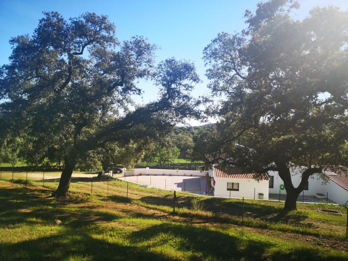 Casa Rural La Dehesilla カサジャ・デ・ラ・シエラ エクステリア 写真